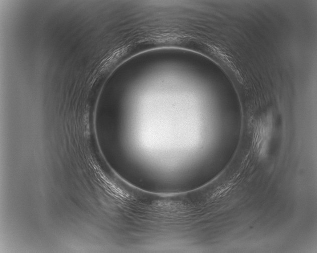 X0000052600633200507081821