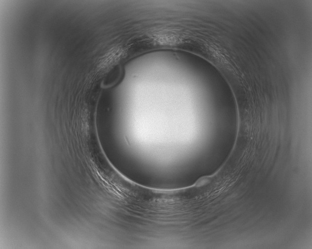 X0000052600639200507081821