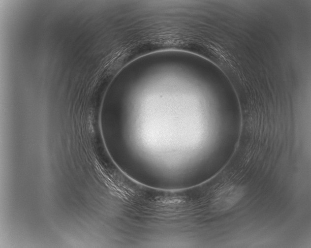 X0000052600643200507081821
