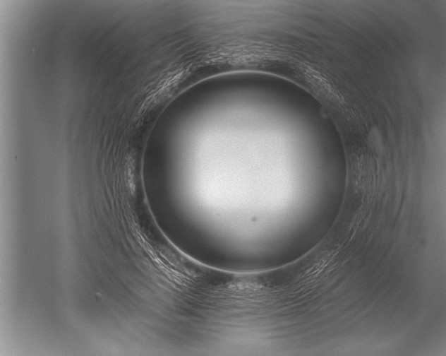 X0000052600644200507081821
