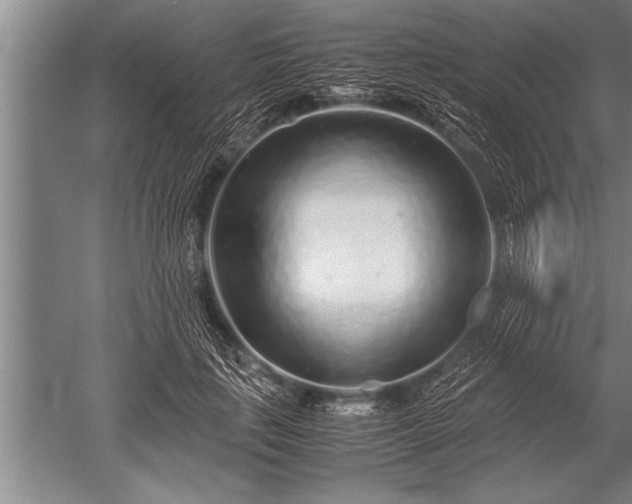 X0000052600651200507081821