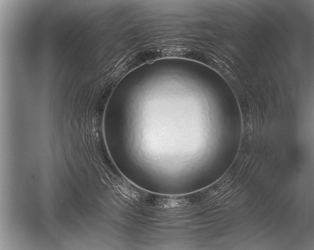 X0000052600663200507081822