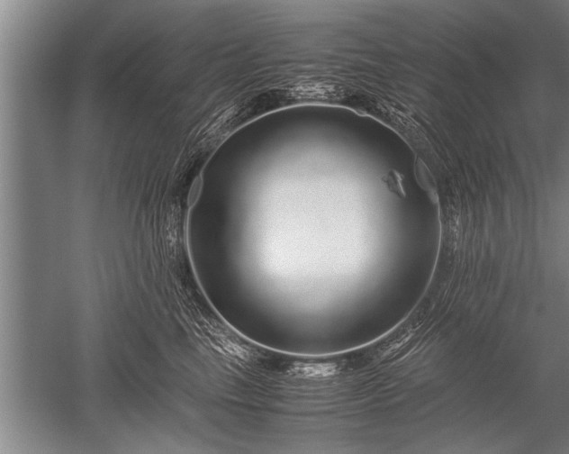 X0000052600665200507081822