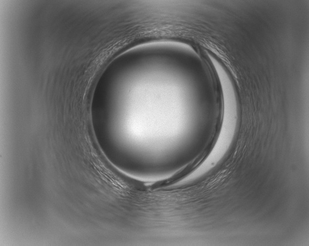 X0000052600673200507081821
