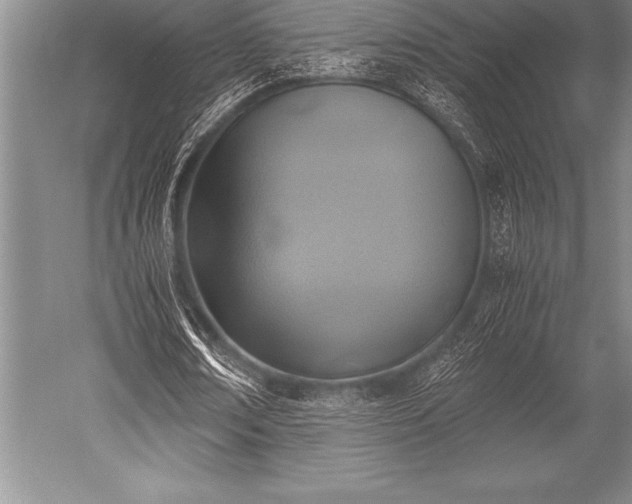 X0000052600674200507081821