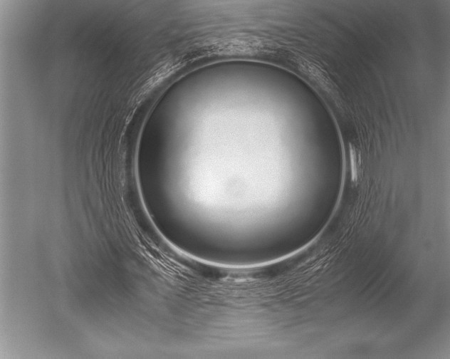 X0000052600675200507081821