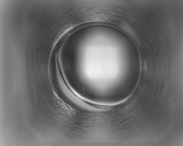 X0000052600676200507081821