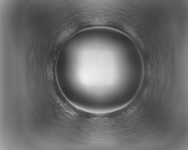 X0000052600681200507081821