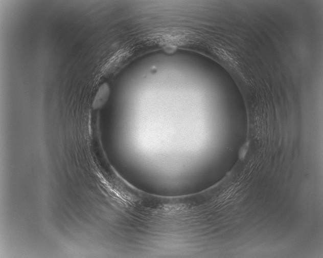 X0000052600686200507081821