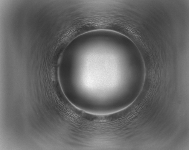 X0000052600689200507081821