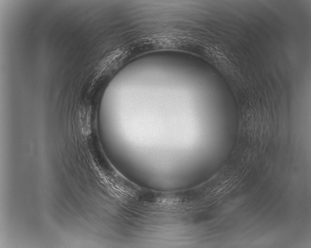 X0000052600694200507081820
