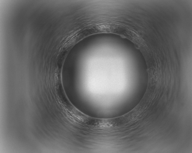 X0000052600702200507081820