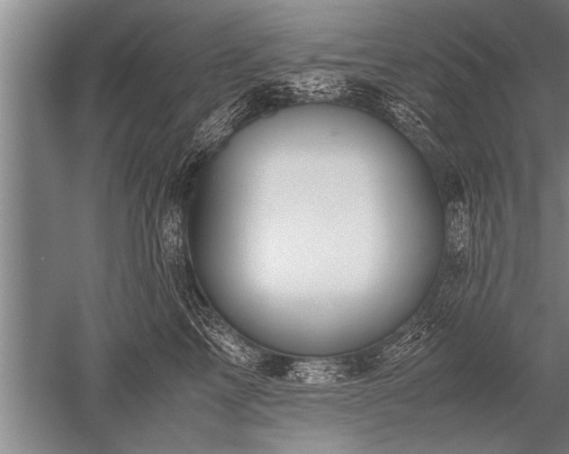 X0000052600713200507081820