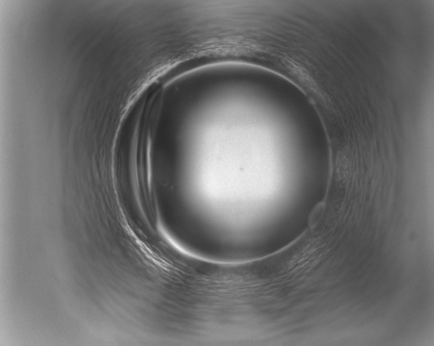 X0000052600722200507081819