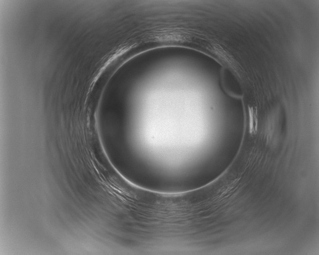 X0000052600723200507081819
