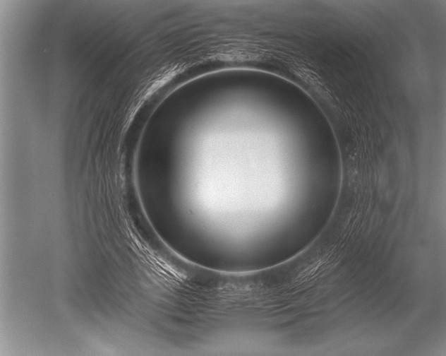 X0000052600727200507081819