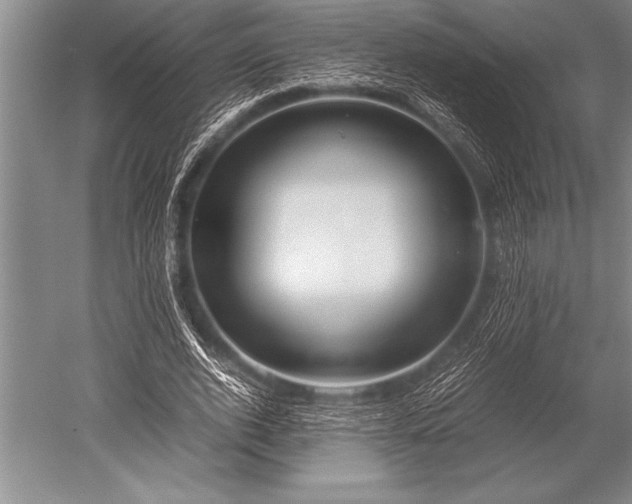 X0000052600728200507081819