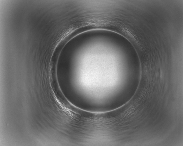 X0000052600730200507081819