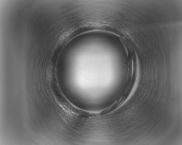 X0000052600736200507081819