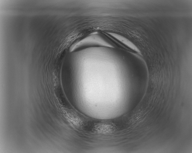 X0000052600743200507081820