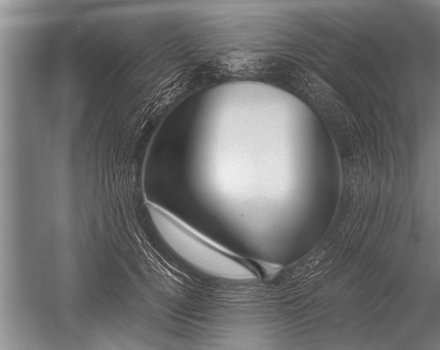 X0000052600752200507081820