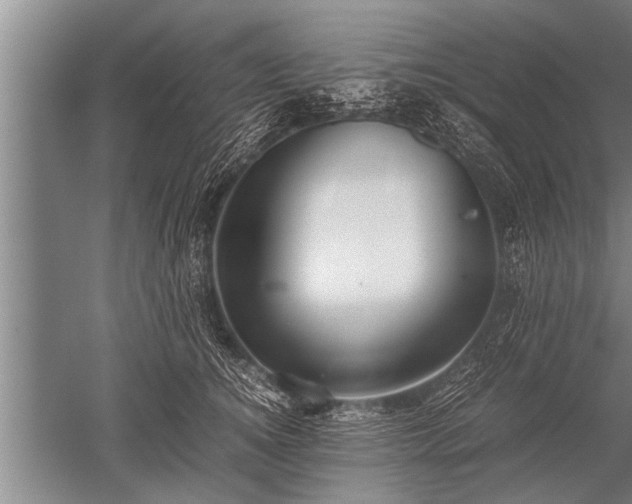X0000052600756200507081820