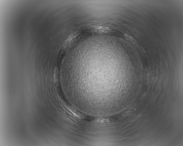 X0000052600760200507081820
