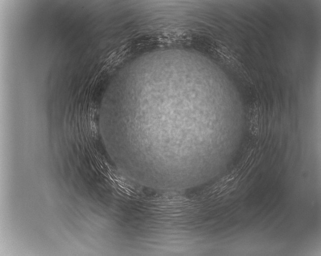 X0000052600770200507081819