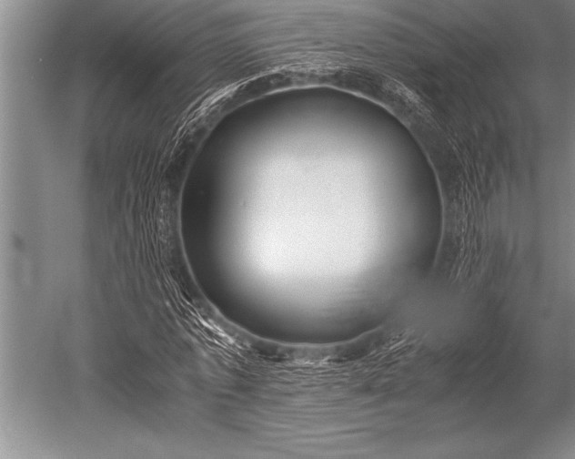X0000052600773200507081819