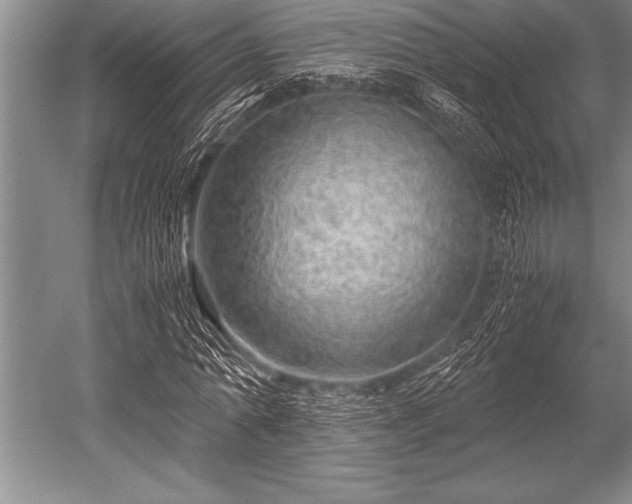 X0000052600774200507081819