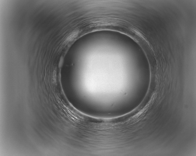 X0000052600777200507081819