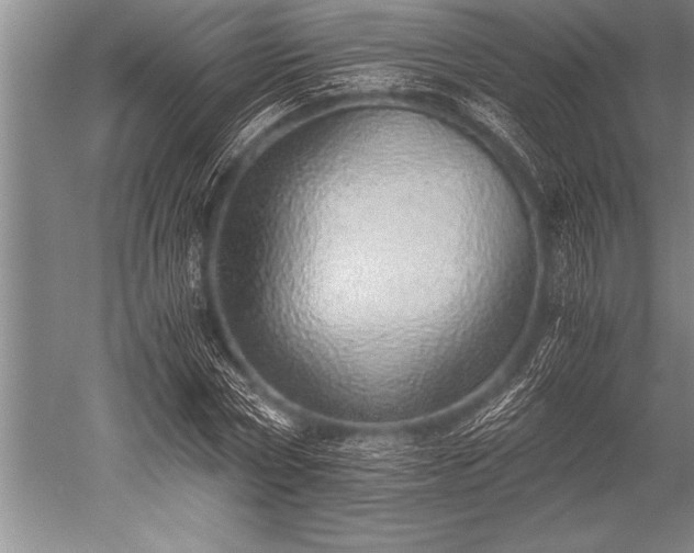 X0000052600778200507081819