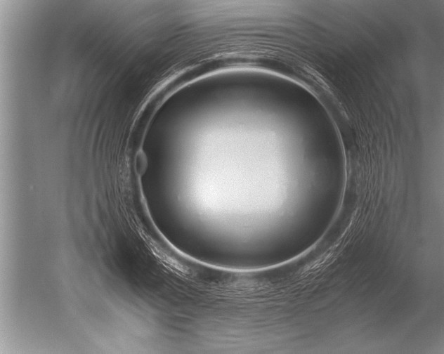 X0000052600779200507081819