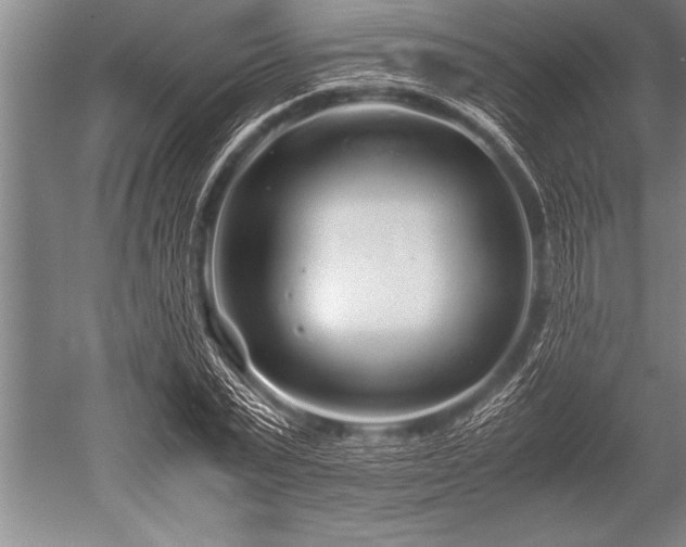 X0000052600783200507081819