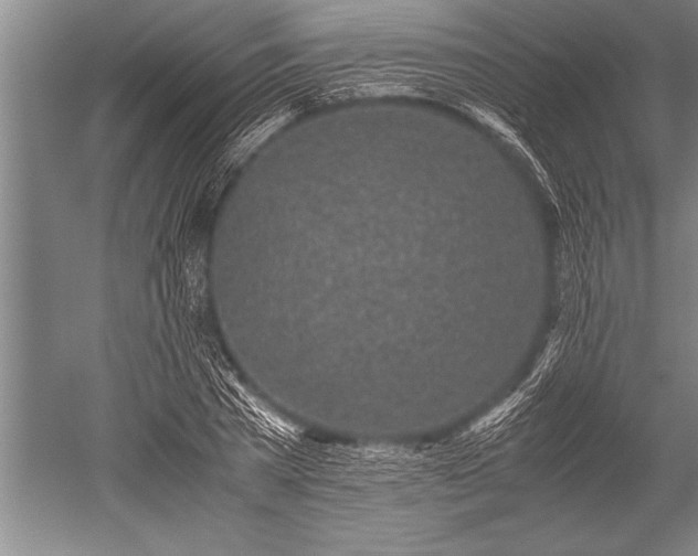 X0000052600785200507081819