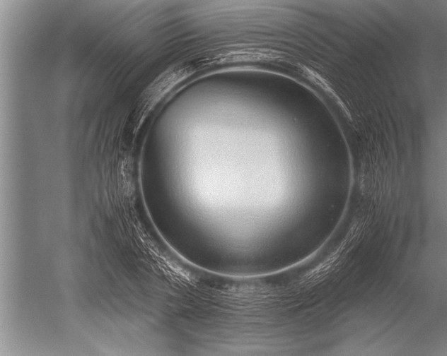 X0000052600786200507081819