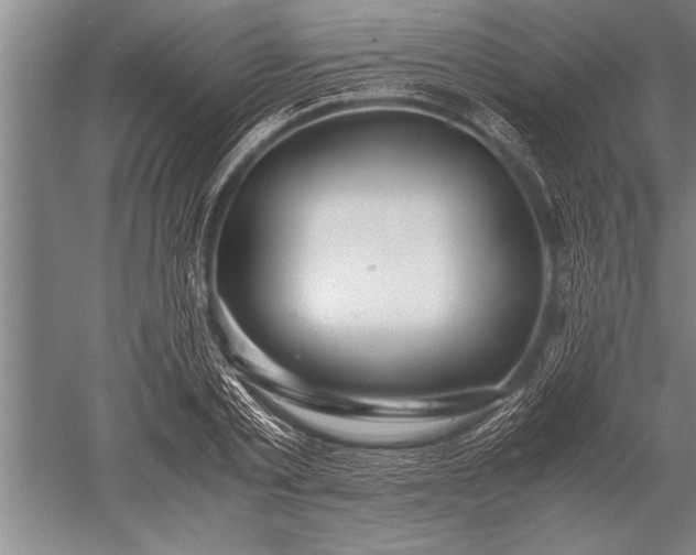 X0000052600789200507081819