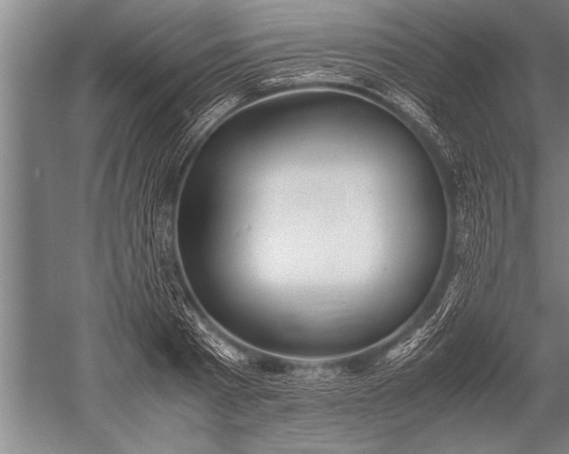 X0000052600793200507081819