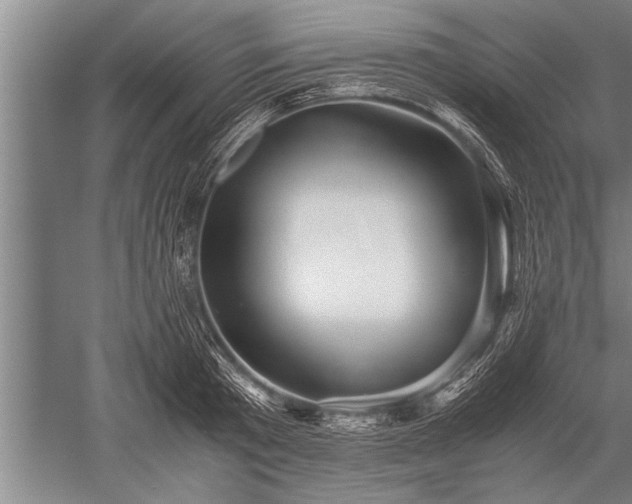 X0000052600801200507081819