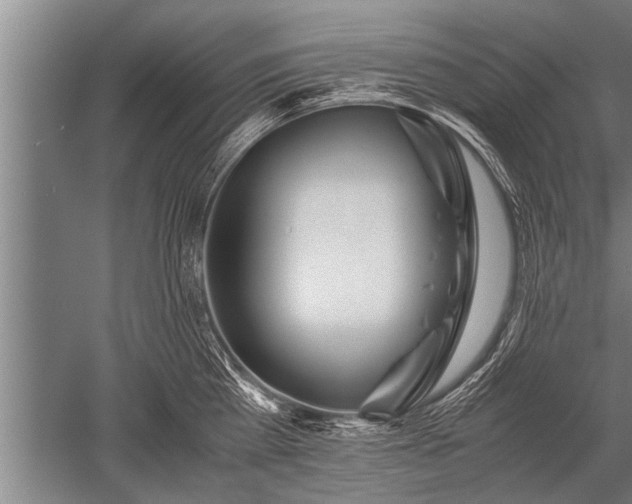 X0000052600809200507081819