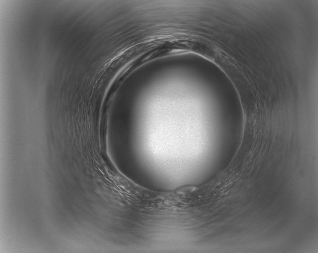 X0000052600822200507081818