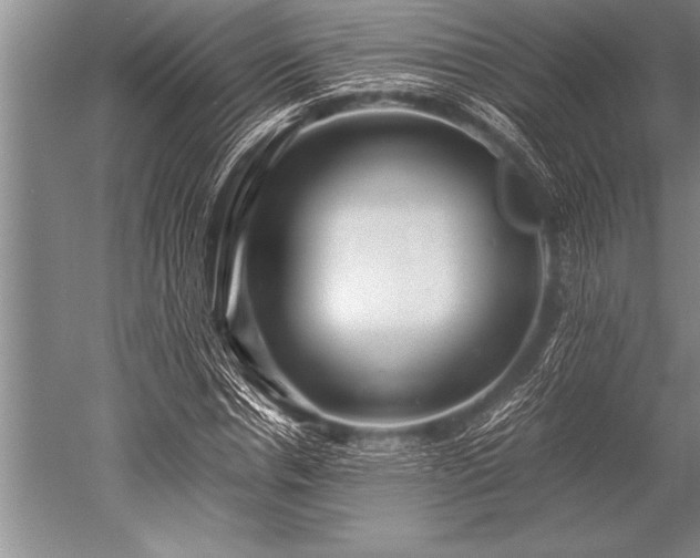X0000052600826200507081818