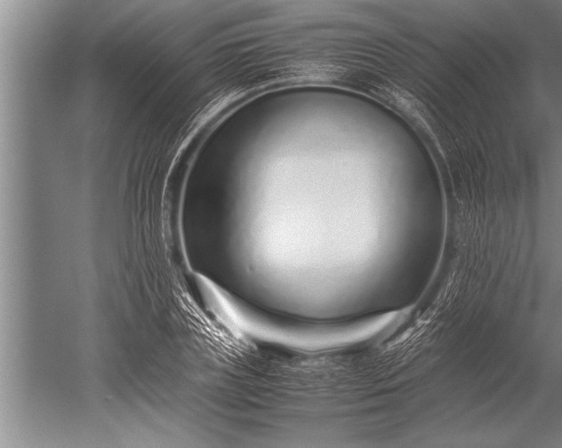 X0000052600835200507081818