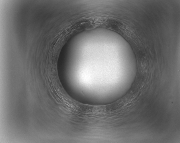 X0000052600865200507081818