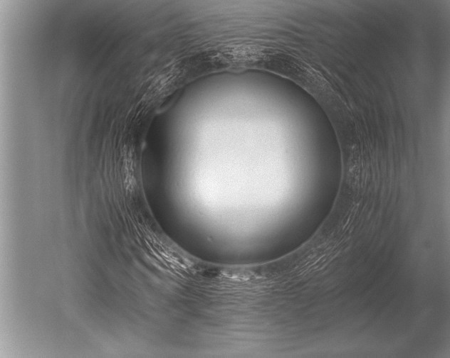 X0000052600866200507081818