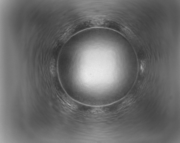 X0000052600867200507081818