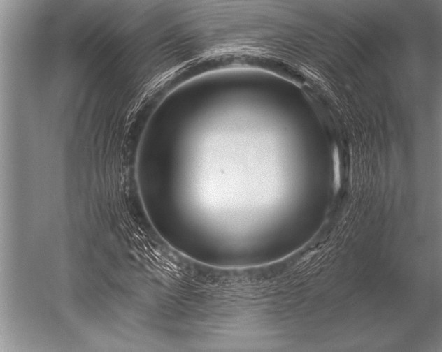 X0000052600872200507081817