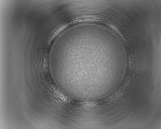 X0000052600874200507081817