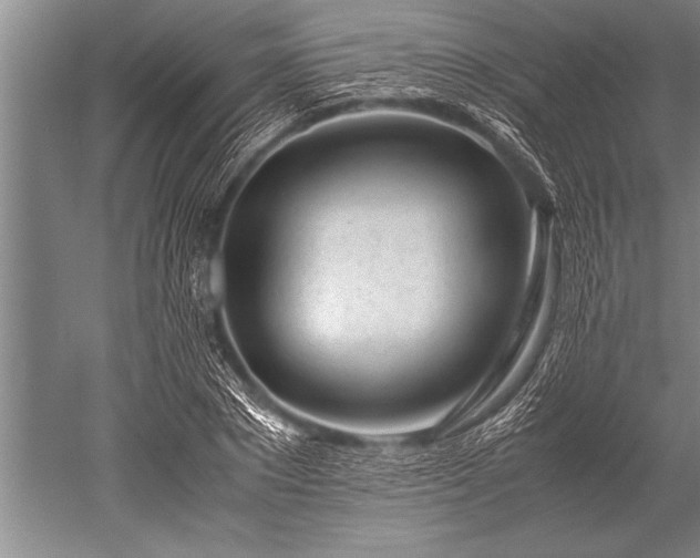 X0000052600881200507081817