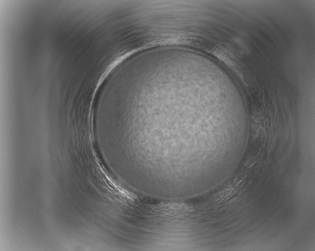X0000052600886200507081817